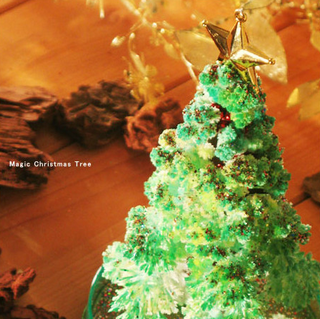 MAGIC CHRISTMAS TREE グリーン.png